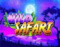 WILD SAFARI MC